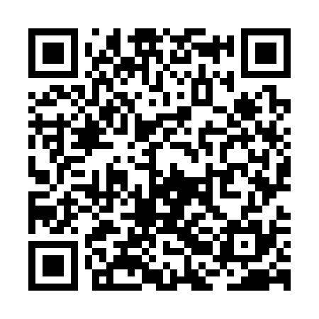 QR code for RBO335