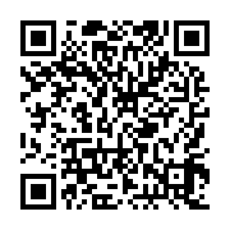 QR code for RBX919