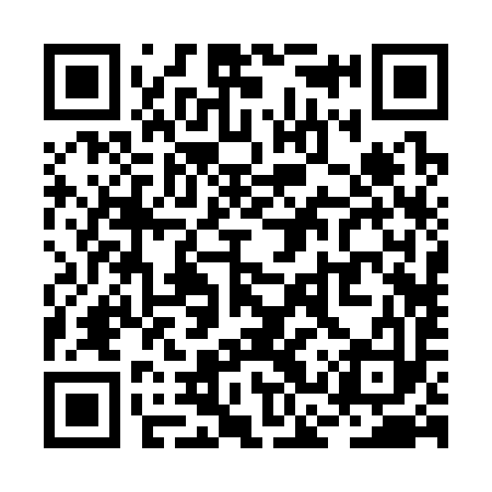 QR code for RCR393