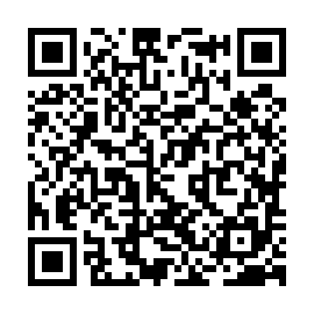 QR code for RCZ595