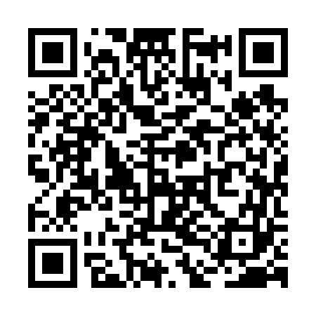 QR code for RDI663