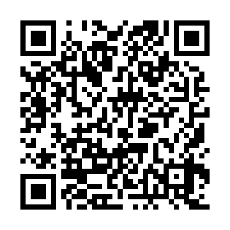 QR code for RDI838