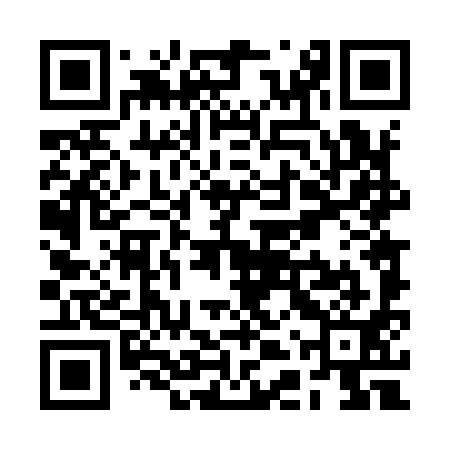 QR code for RDT991