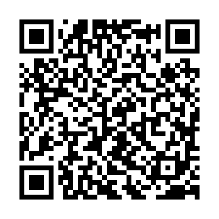 QR code for RDZ291