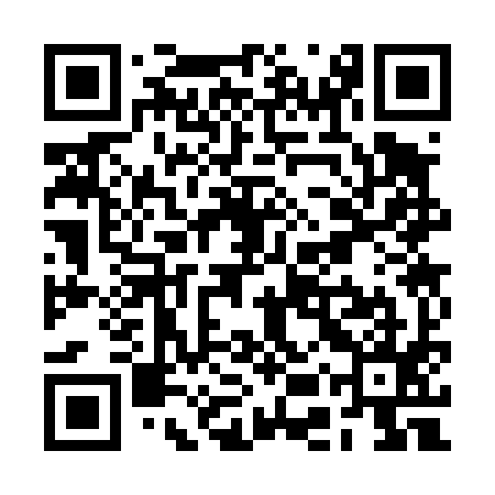 QR code for RES495