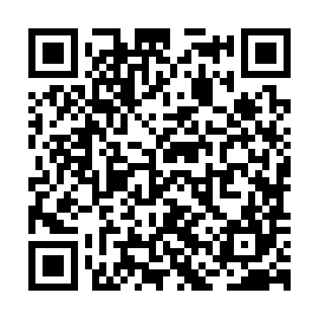 QR code for RFZ384