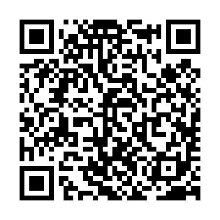 QR code for RGB491