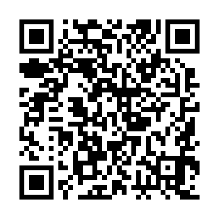 QR code for RGI291