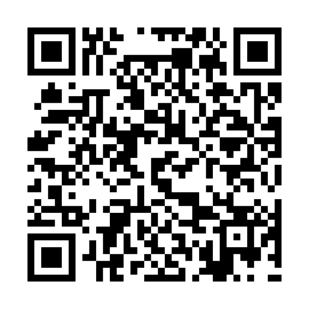 QR code for RGI383