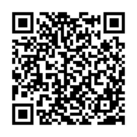 QR code for RGI386