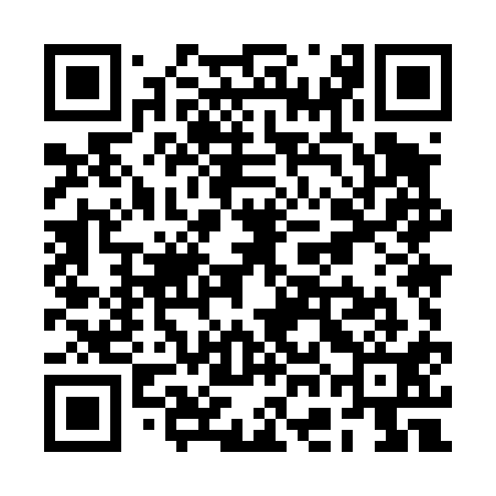 QR code for RGM411