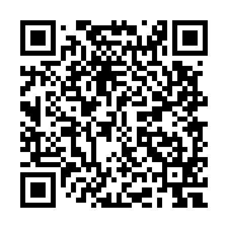 QR code for RGP595
