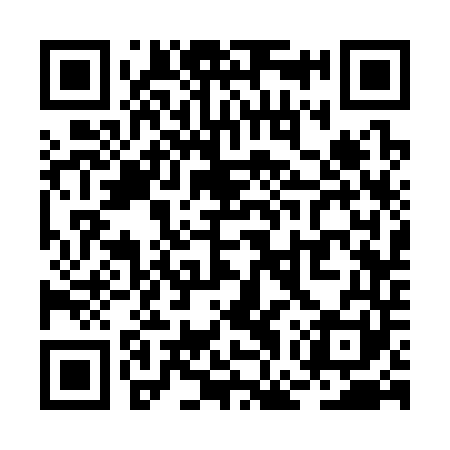 QR code for RGS341