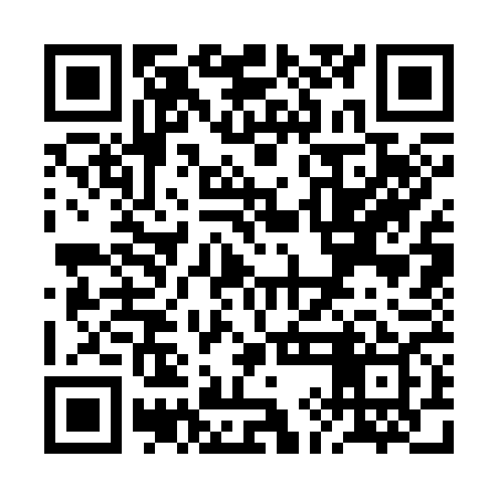 QR code for RIC369