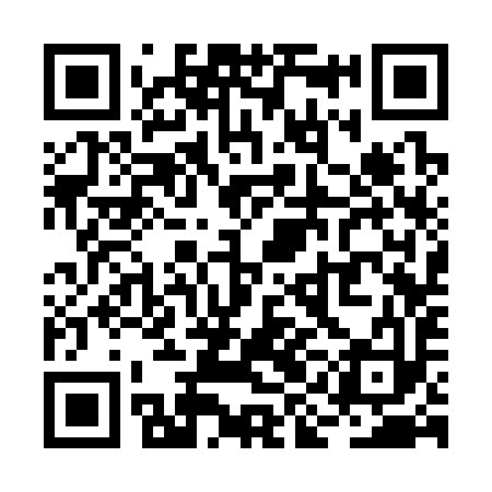 QR code for RIC393