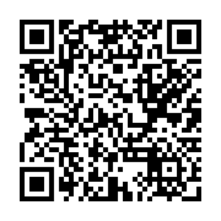QR code for RIF336