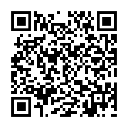 QR code for RIH311
