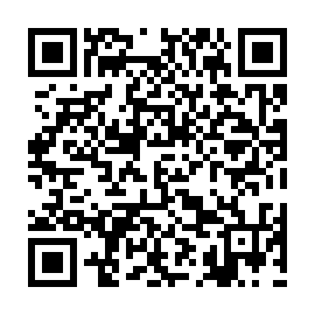 QR code for RIH334