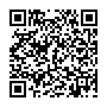 QR code for RII327