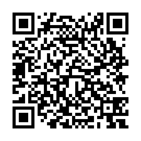QR code for RII338