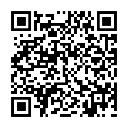 QR code for RII919