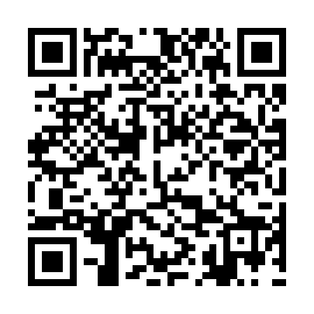 QR code for RIK228
