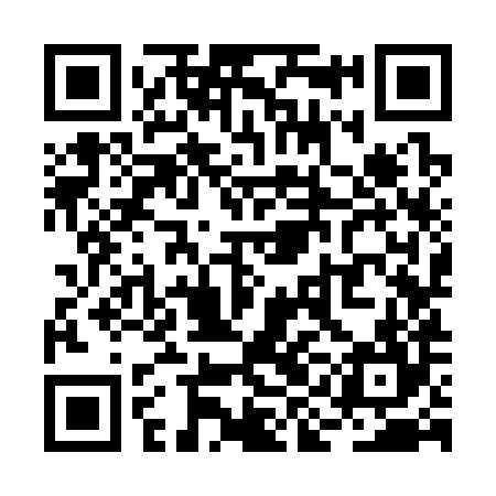 QR code for RIK384