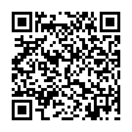 QR code for RIM795