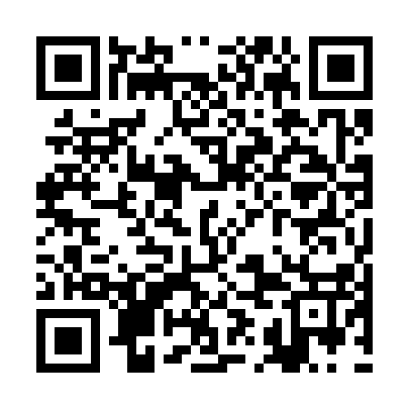 QR code for RIO317