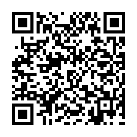 QR code for RIO331
