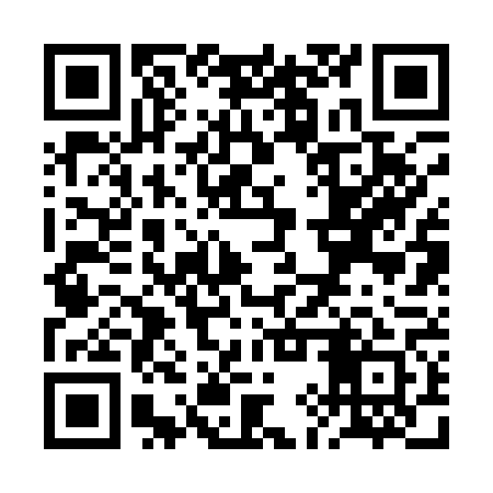 QR code for RIR161