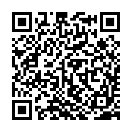 QR code for RIR197