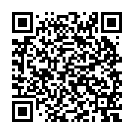 QR code for RIR294