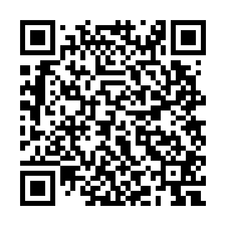 QR code for RIR701