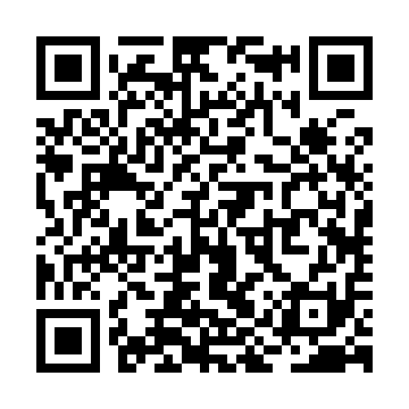 QR code for RIR911
