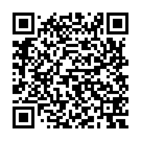 QR code for RIR958