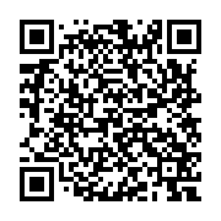 QR code for RIR963