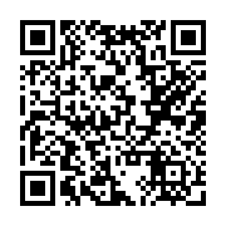 QR code for RIS311