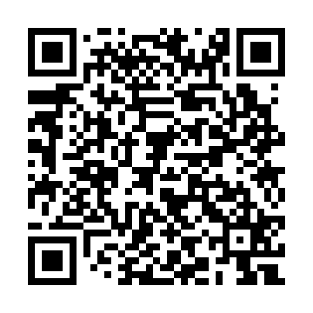 QR code for RIS325