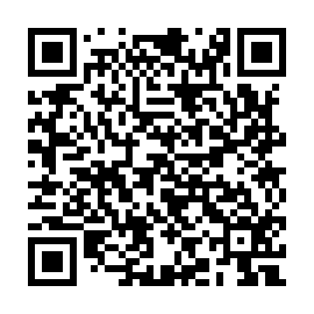 QR code for RIS916