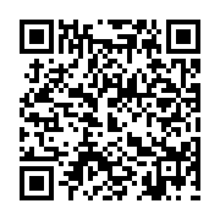 QR code for RIT319