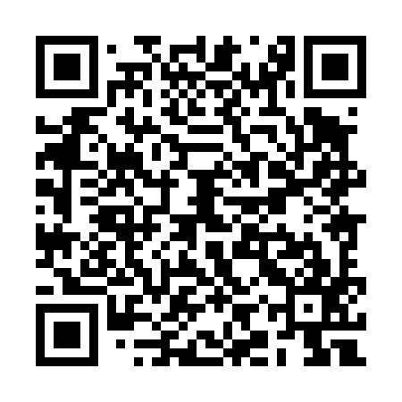 QR code for RIX497