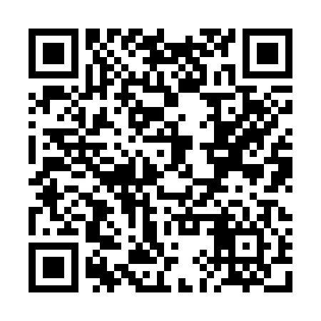QR code for RIZ306