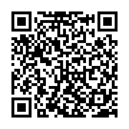 QR code for RJI335