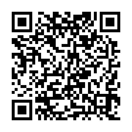 QR code for RJP313