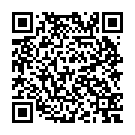 QR code for RJY233