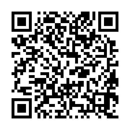 QR code for RKG390