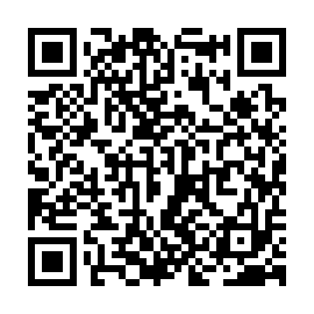 QR code for RKI313