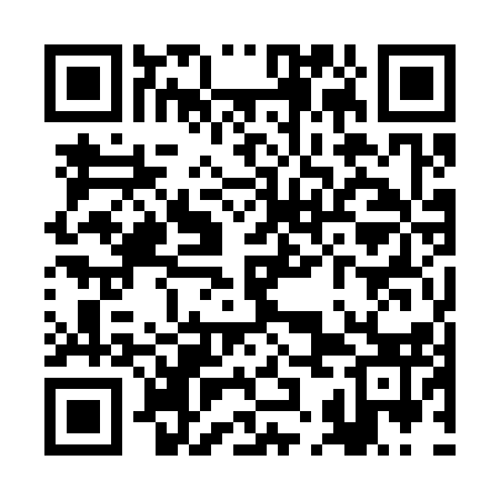 QR code for RKO313