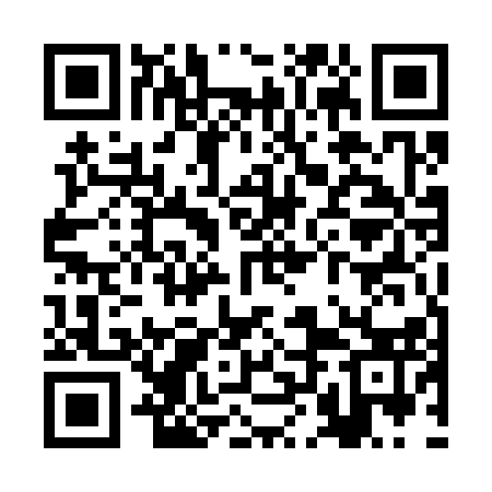 QR code for RLE313